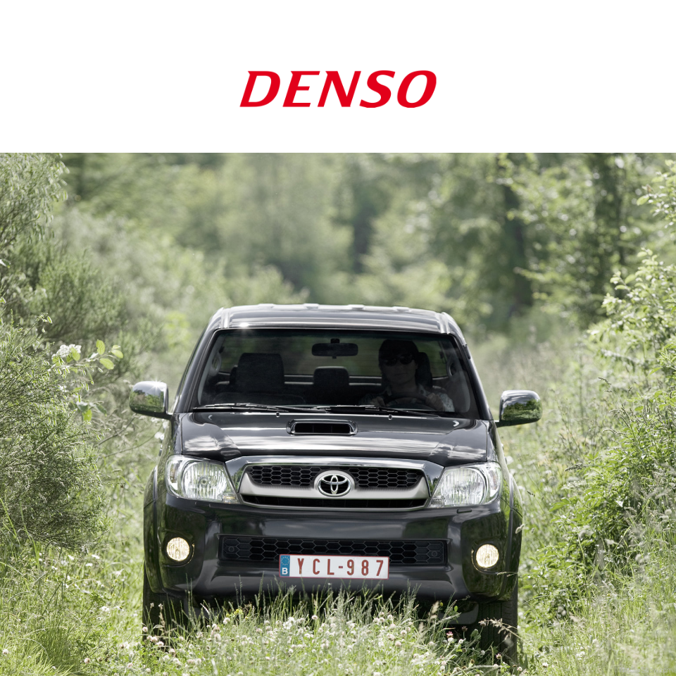 Inyector 095000-8290