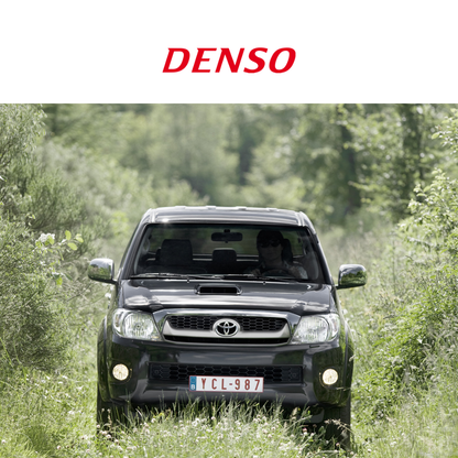 Inyector 095000-8290